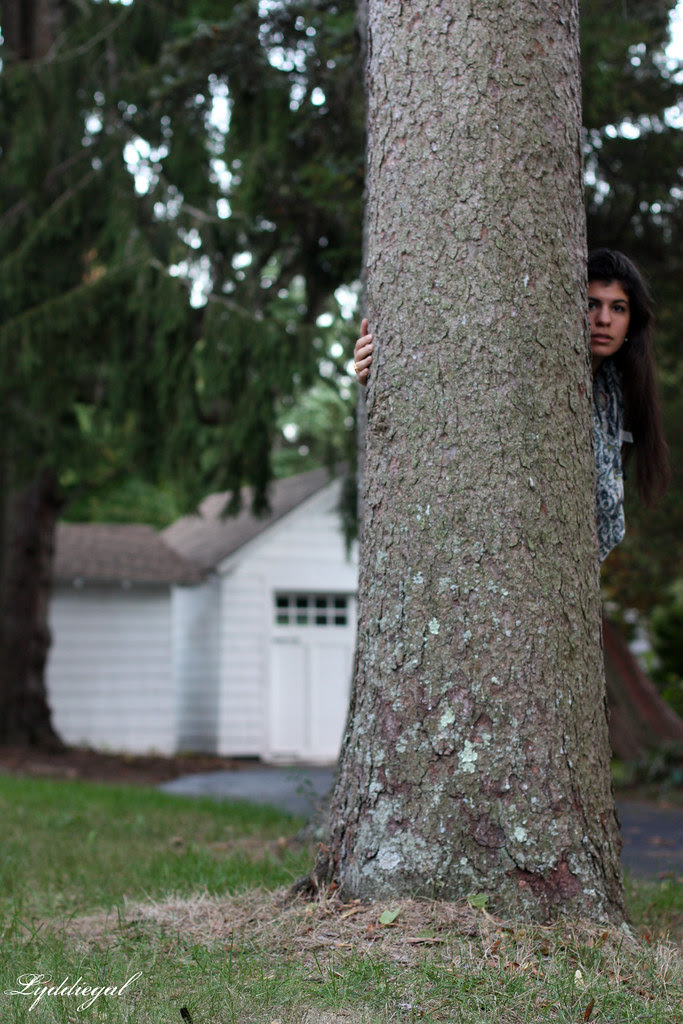 Taken by trees