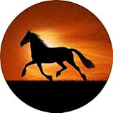 Horse on Orange Sunset Art - Fridge Magnet - Fibreglass reinforced plastic - Novelty Décor and Ideal Gift for all Occassions