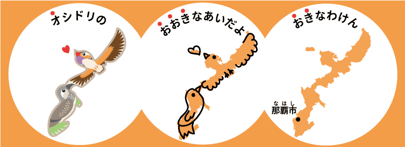 沖縄県の楽しい覚え方 県庁所在地 九州地方 日本地図入り 都道府県らくがき