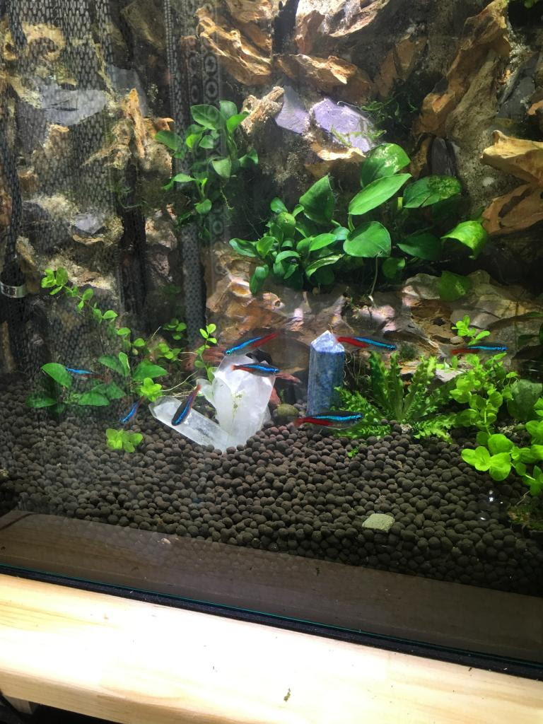 アクアライン アクアルバム