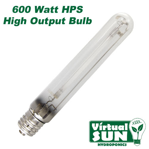 100+ 600 Watt Lamp