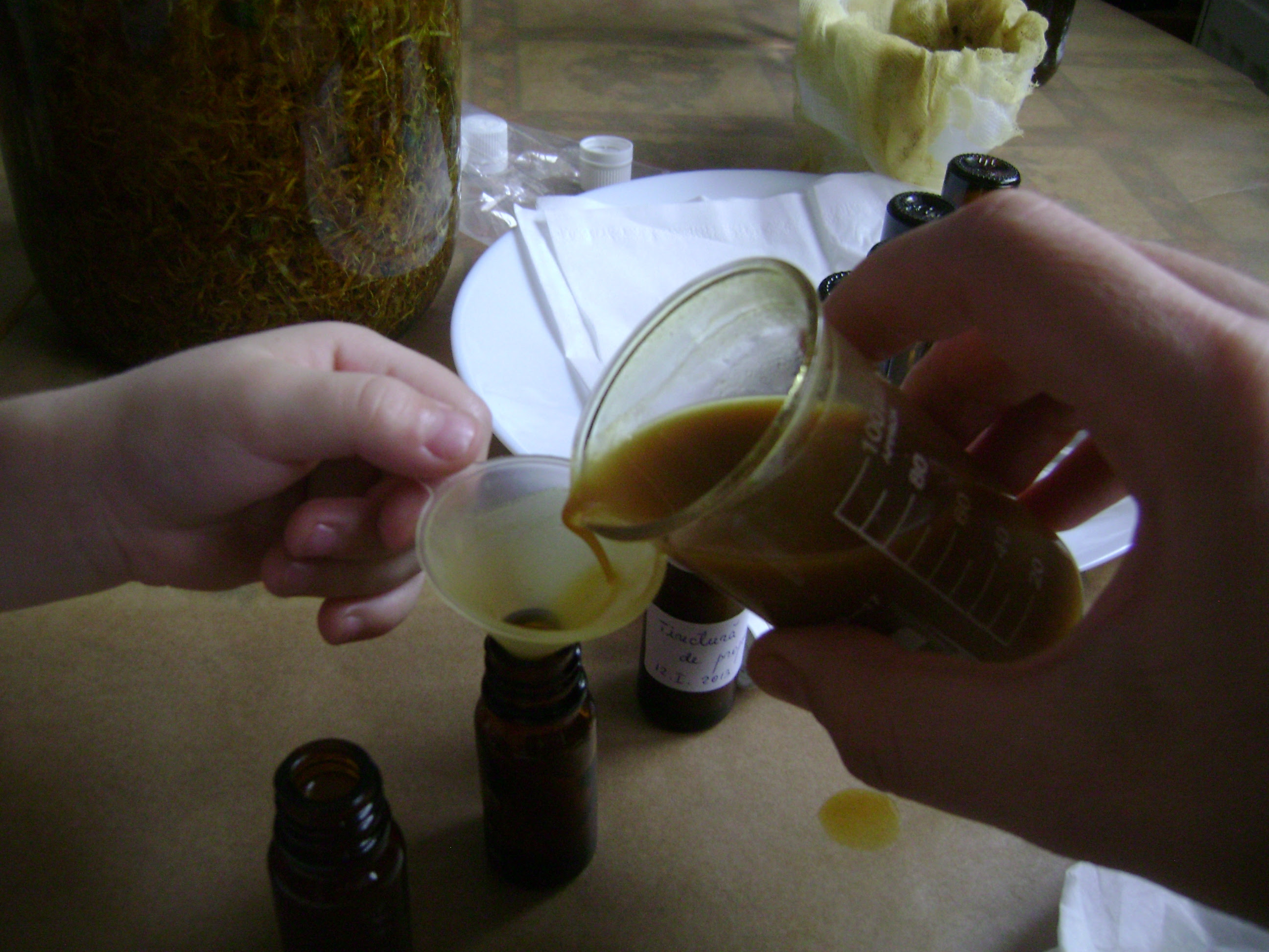 Utilizarea medicamentoasă a propolisului