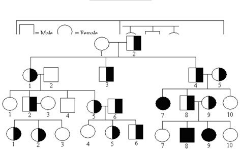 A pedigree chart is a diagram that shows the occurrence and appearance of phenotypes of a particular gene or organism and its ancestors from one generation . simple pedigree chart free download