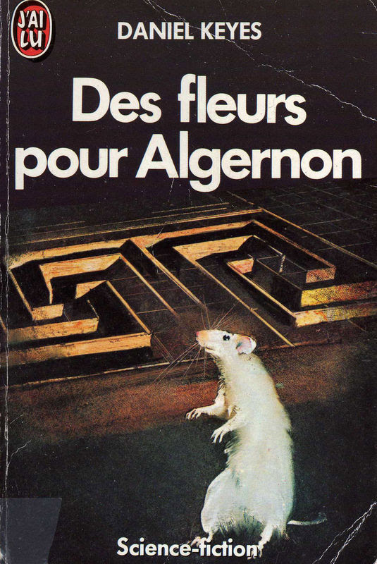 Critique Des fleurs pour Algernon Le blog de lalynx Critique Des fleurs pour Algernon Le blog de lalynx