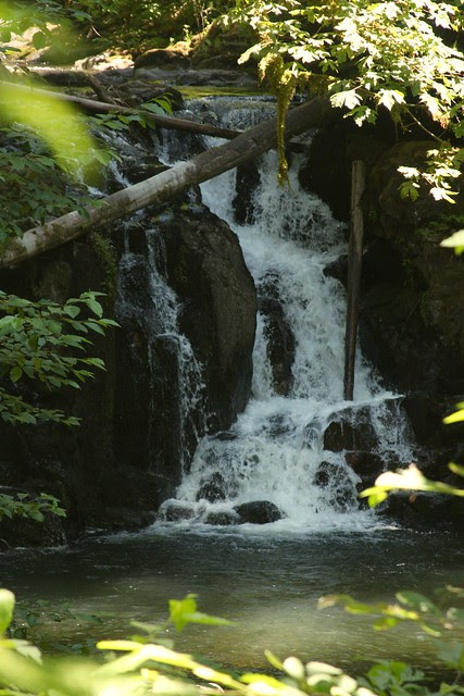 Crystal Pool Falls, McDowell Creek