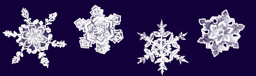 雪の結晶の 絵を描く えをかくバクの部屋