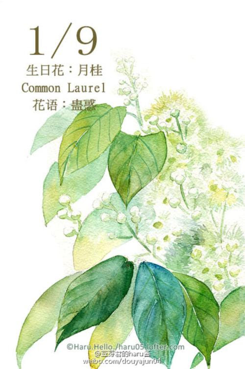 1月22日是什么生日花9月9日是什么节日 周易算命网