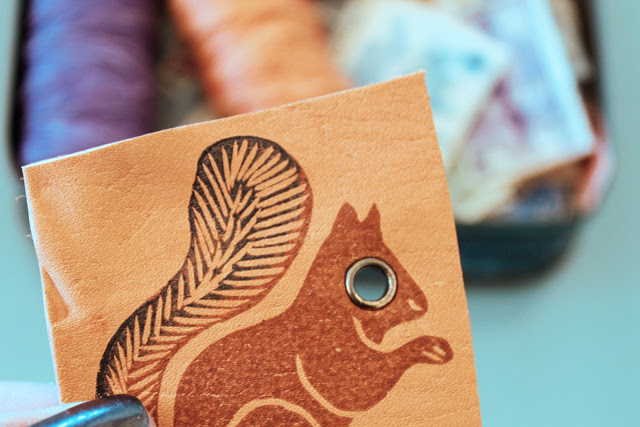 Squirrel Eyes