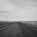 Marfa Wedding