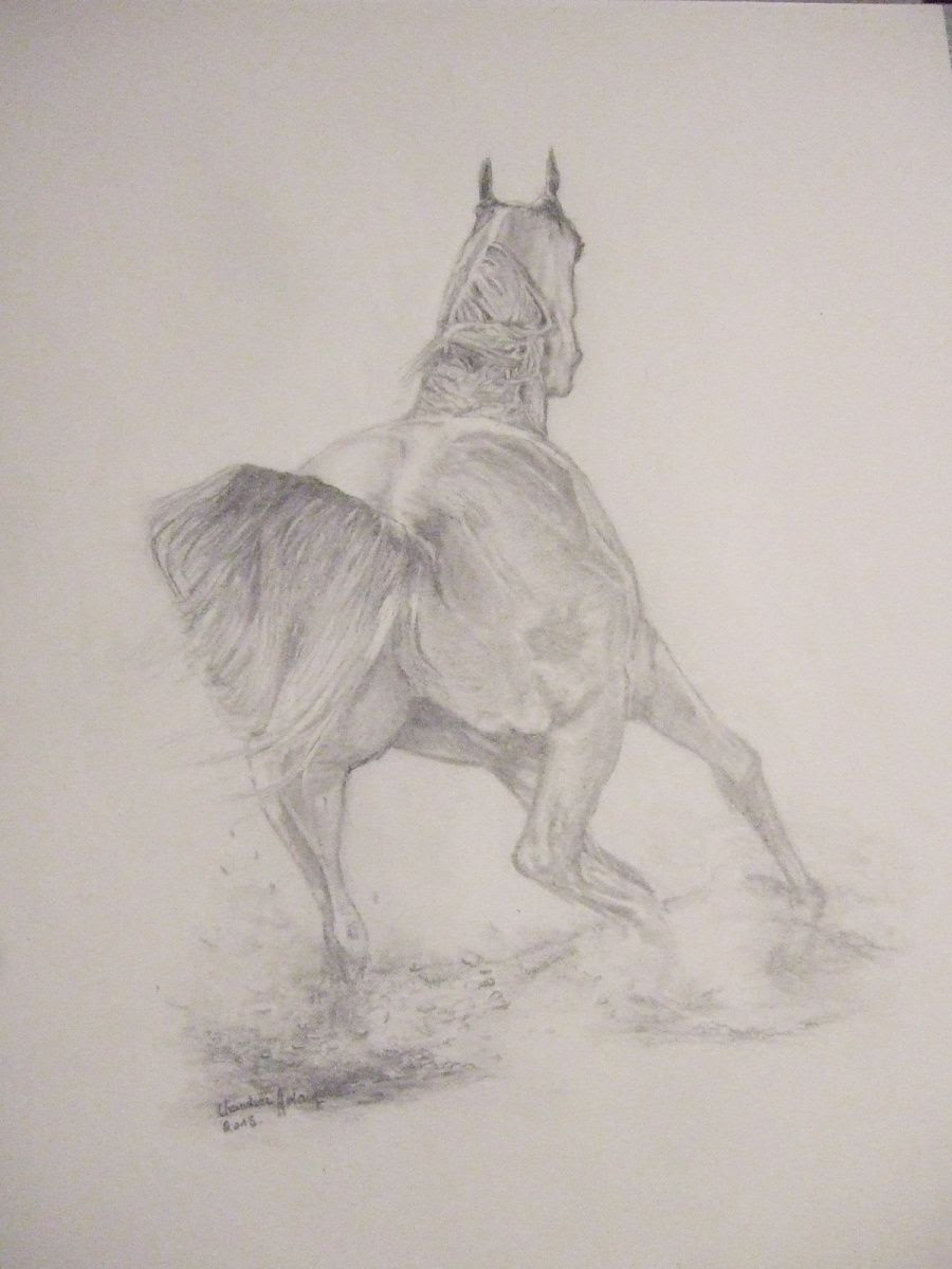 Dessins Crayon Mine De Plomb Passionnement Votre57over