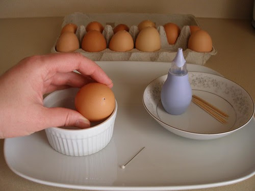 How to Blog Eggs- 3