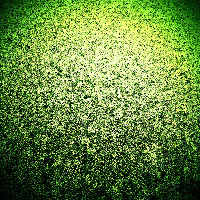 42:365 Green {Frosty} Thoughts