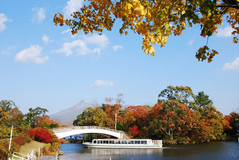 大沼公園広場と自然散策コース 大沼の自然を満喫 大沼国定公園ガイド まるごと大沼