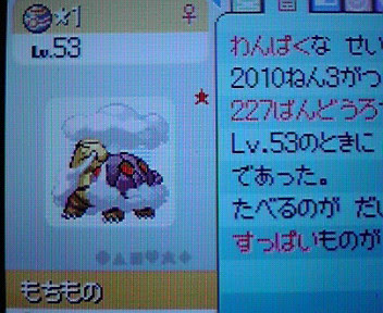 ポケトレ 色違い コイキングの脳を持つ女