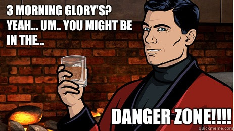 3 Morning Glory S Yeah Um You Might Be In The Danger Zone Archer Quickmeme