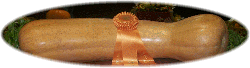 Best of show neck pumpkin PA farm show 2012