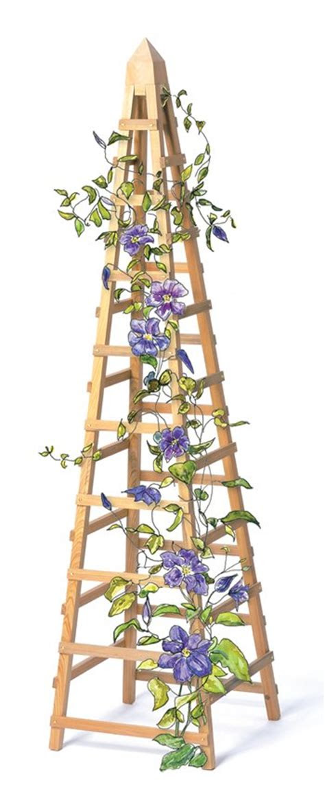 build vine trellis diy garden trellis plans