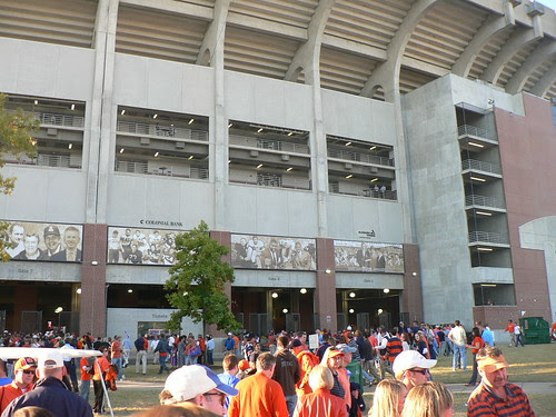 gators football pictures