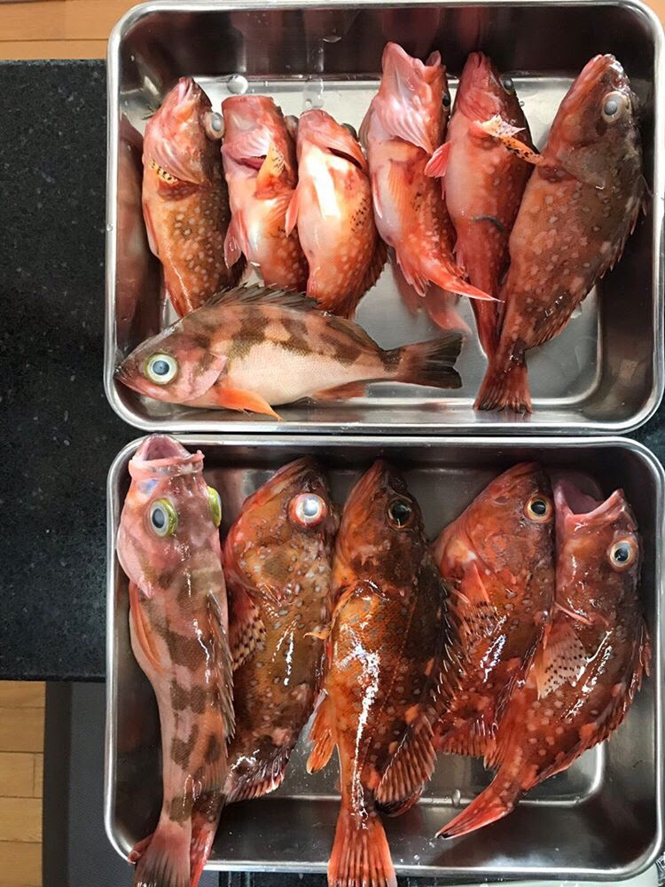 くらしコラム 夫婦で料理 お魚料理男子 バンザイ And Fukui 福井で暮らす女性のための情報サイト