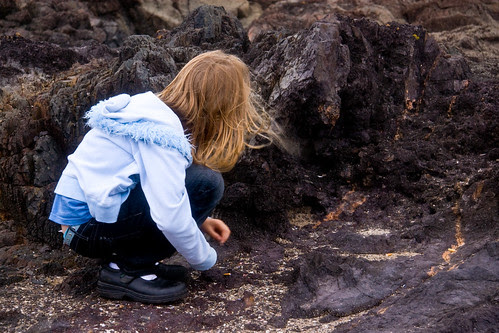 Rockpooling
