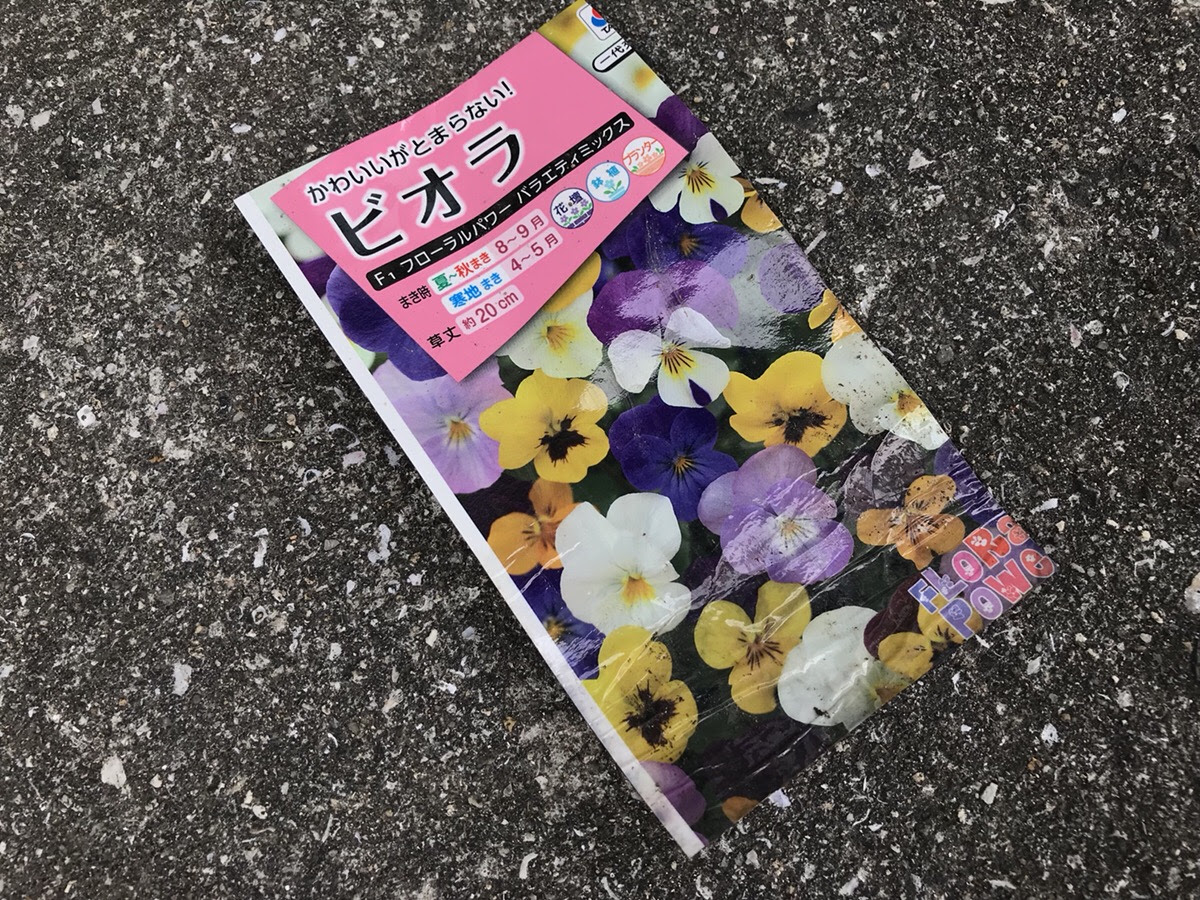 ビオラの種まきと発芽に初心者なりに挑戦してみました Hanana Tree