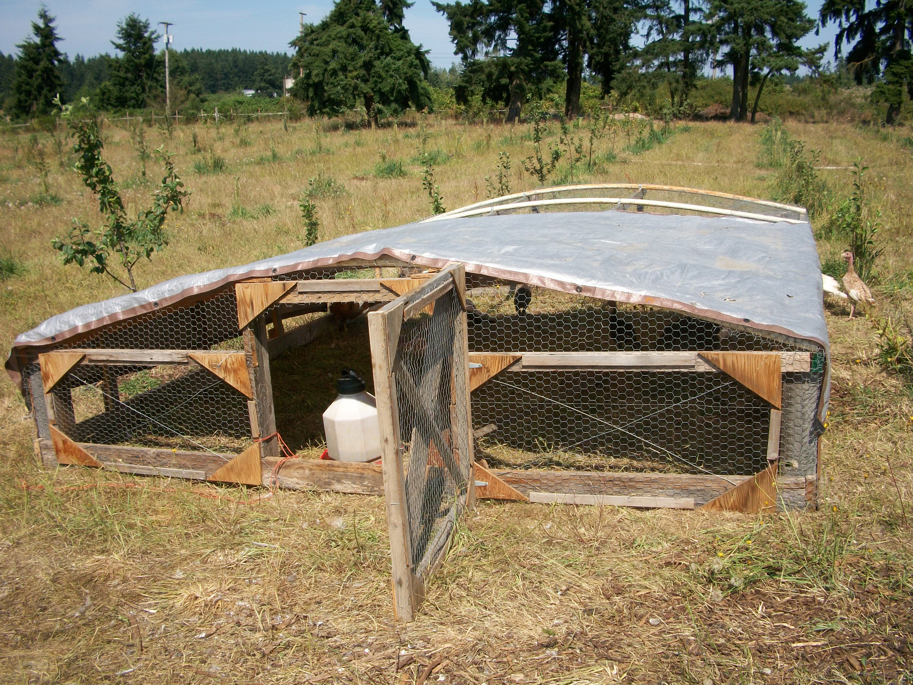 Chicken Coops