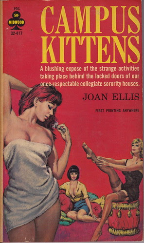 mid32417.campkittens