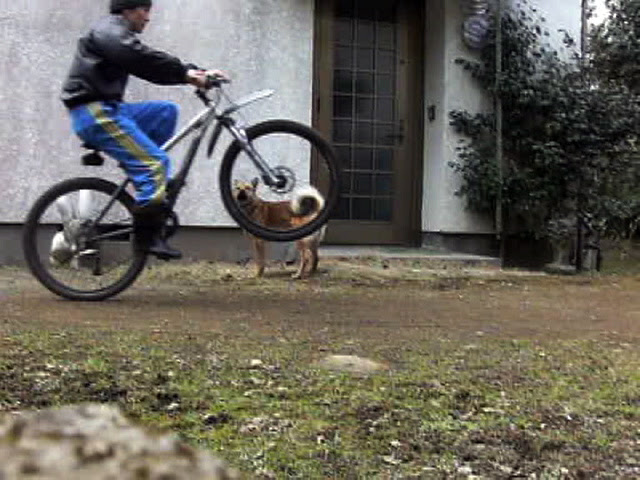 ウィリー03 Kと画伯のmtb