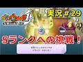 [最も欲しかった] 妖怪ウォッチ s ランク ウォッチ 318758