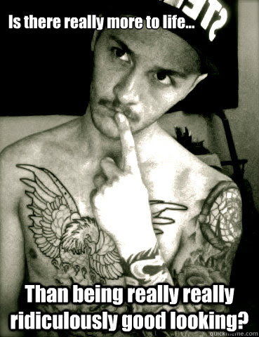 Is There Really More To Life Than Being Really Really Ridiculously Good Looking Misc Quickmeme