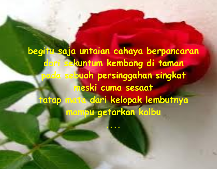 Contoh Puisi Lama dan Puisi Modern  BERBAGI INFO : Tips 