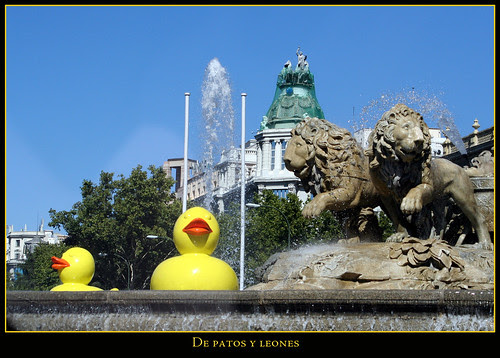 de leones y patos