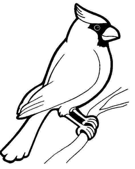 Free realistic bird coloring pages are perfect for young bird lovers. birds coloring pages