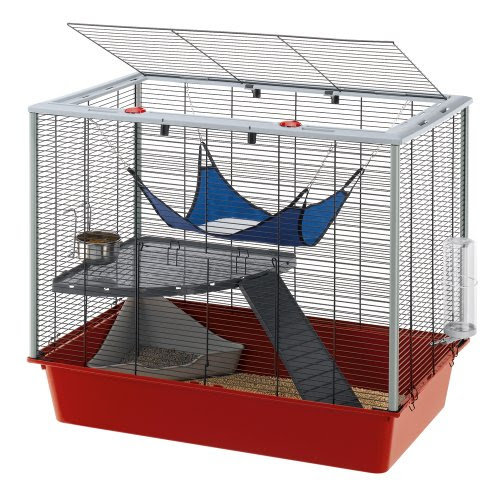 Best Review of Ferplast Ferret Plus and Rat Cage