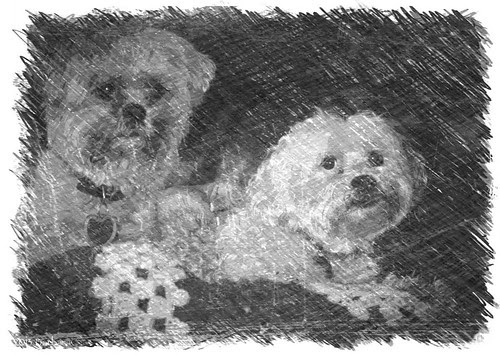 Bilbo_Jakey BWS_Sketch