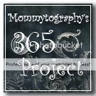 2011 Mommytography 365 Project