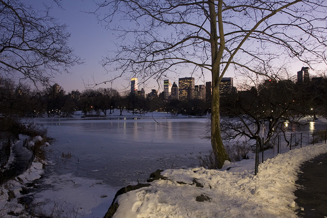 The Lake, in Central Park