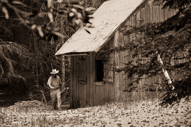 Scenes at a cabin 2