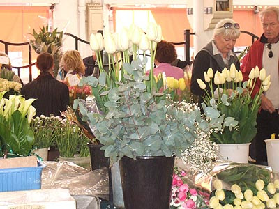 fleurs.jpg