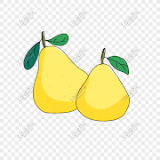 31+ Lukisan Buah Pir, Gambar Lukisan