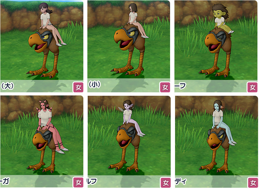 おおくちばしドルボードで女性キャラが一貫して横乗りな理由ｗｗｗｗｗｗｗｗｗｗｗｗｗｗｗｗｗｗ エルおじ速報 ドラクエ10攻略まとめ