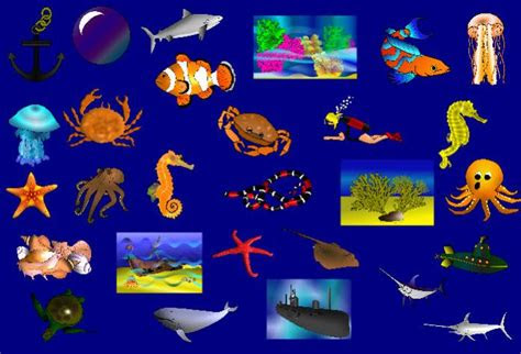 prasekolah seri pagi clip art hidupan laut