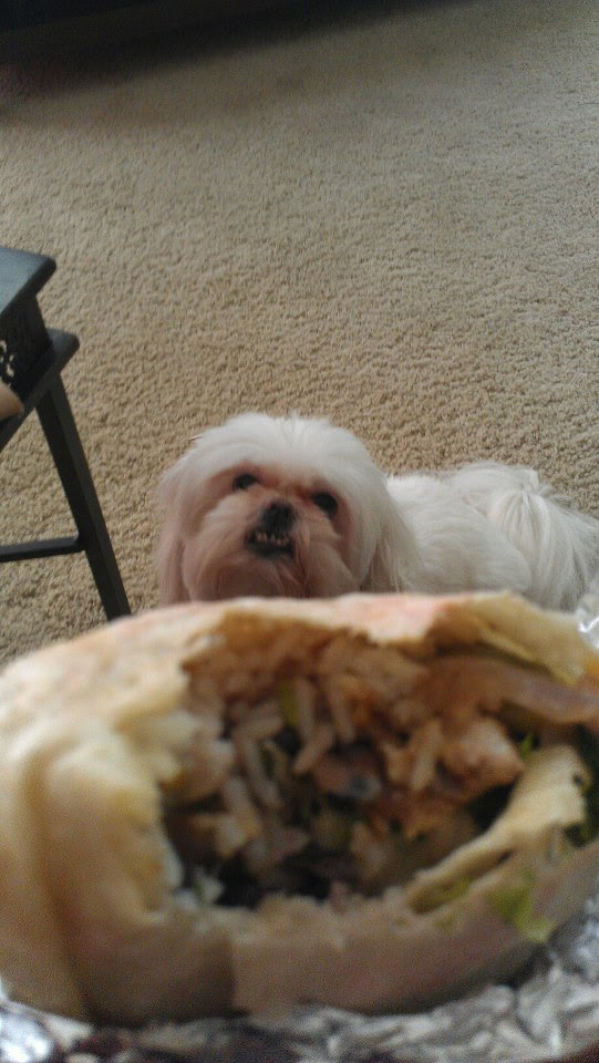 Everytime I eat around my dog