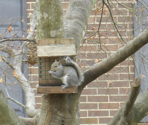 naturenotesDSCN3472