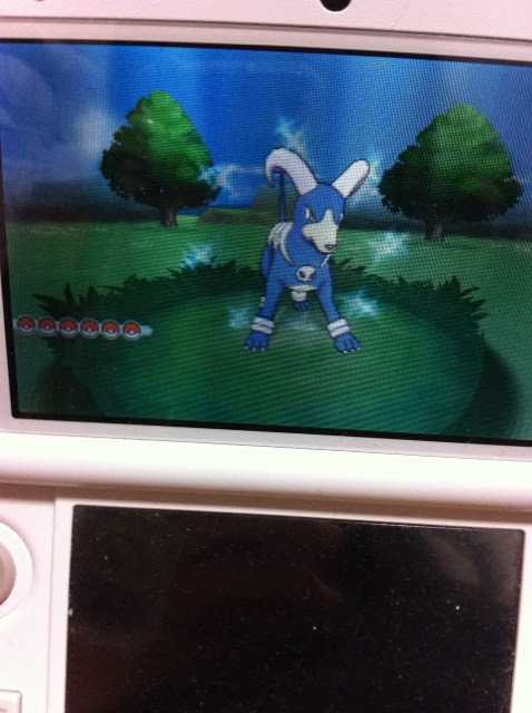 色違いに釘付け ヘルガー メガヘルガー Xy