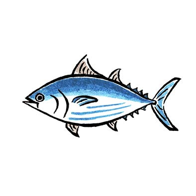 Client Works マルハチ村松 やいづ善八のかつお出汁製法の工程 17 7 Tsumura Illustration Studio