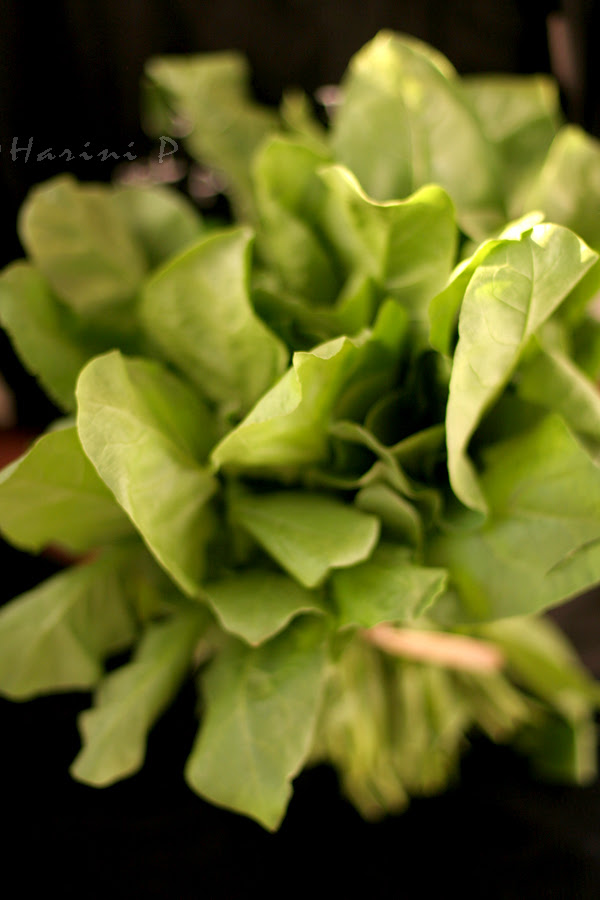 Have a healthy happy green weekend