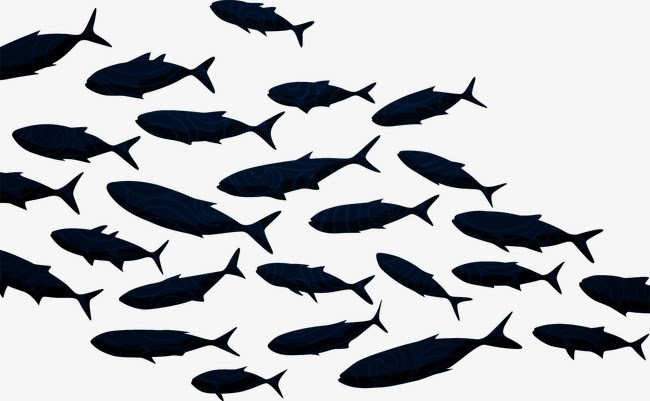 Download Fish Silhouette Vector at GetDrawings | Free download