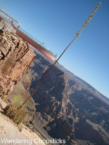 Grand Canyon West Rim - Hualapai Nation - Peach Springs - Arizona 20
