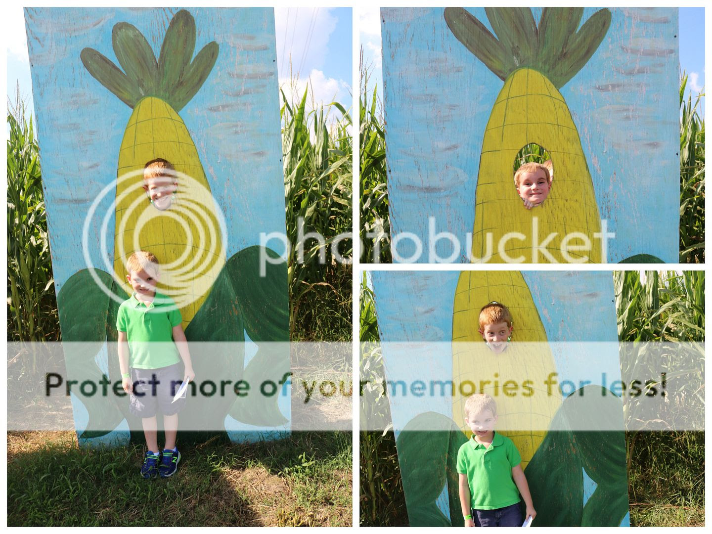 photo cornmaze3_zpsmjylk10z.jpg